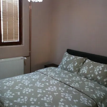 Novakovic * Zlatibor